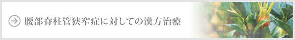 腰部脊柱管狭窄症に対しての漢方治療